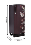 R D ESX 266 TAF 3.2 251 Ltr Single Door Refrigerator