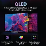 H65S80FUX 65 inch UHD Smart QLED TV