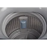 HWM70-826DNZP 7Kg Top Load Washing Machine