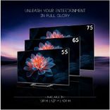 TV H75S90EUX With Hands Free Voice Control