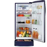 GL-D211HBEZ 201L 5 Star Direct Cool Single Door Refrigerator