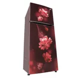GL-N292BSCY 242L 2 Star Double Door Refrigerator
