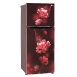 GL-N292BSCY 242L 2 Star Double Door Refrigerator