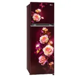 GL-N312SSBY 272L 2 Star Double Door Refrigerator