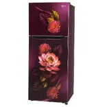 GL-S292SRWY 240L 2 Star Double Door Refrigerator
