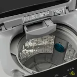 T75VBSF1Z 7.5 Kg Fully Automatic Top Load Washing Machine