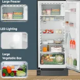 DFPtsE 2031 202 L 5 Star Single Door Refrigerator