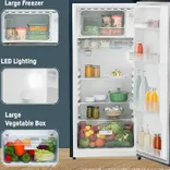 DNPlmC 2001 202 L 3 Star Single Door Refrigerator