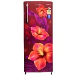 GLDC262GTWT2JC 230 L Direct Cool Single Door Refrigerator
