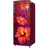 GLDC262GTWT2JC 230 L Direct Cool Single Door Refrigerator