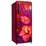 GLDC262GTWT2JC 230 L Direct Cool Single Door Refrigerator