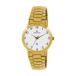 04610CMGY Analog Watch - For Men