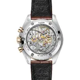 310.23.42.50.02.001 Speedmaster Moonwatch Professional 42 mm