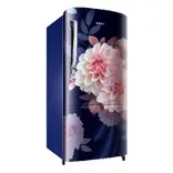RR20F2723BB 183 L Single Door Refrigerator