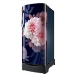 RR20F2825BB 183 L Single Door Refrigerator