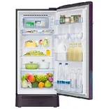 RR21D2H259R 189 L Horizontal Curve Design Single Door Refrigerator