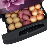 RR24A282YCR 230 L Stylish Grandé Design Single Door Refrigerator
