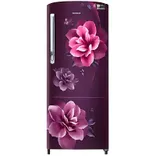 RR24C2723CR 223 L Stylish Grandé Design Single Door Refrigerator