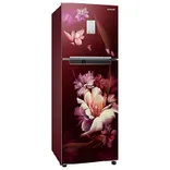 RT28B3522RZ 244 L Curd Maestro™ Double Door Refrigerator