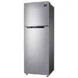 RT30C3032GS 256 L Digital Inverter Technology Double Door Refrigerator