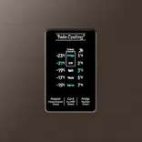 RT37C4642DX 312 L Curd Maestro™ Double Door Refrigerator