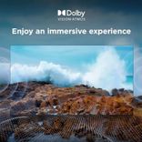 43C655 43 Inch QLED 4K TV