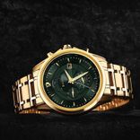 NS1830YM02 Regalia Premium Green Chrono Watch For Men