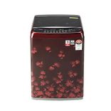 T65SJDR1Z 6.5 Kg Fully Automatic Top Load Washing Machine