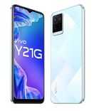 Y21G