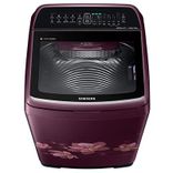 WA65N4570FM 6.5 Kg Fully Automatic Top Load Washing Machine