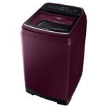 WA65N4260FF 6.5 Kg Fully Automatic Top Load Washing Machine