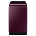 WA65N4260FF 6.5 Kg Fully Automatic Top Load Washing Machine