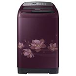 WA65M4020HP/TL 6.5 Kg Fully Automatic Top Load Washing Machine