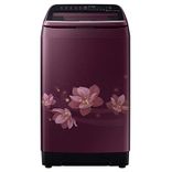 WA65N4570FM 6.5 Kg Fully Automatic Top Load Washing Machine