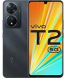 T2