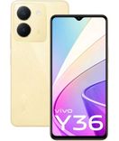 Y36