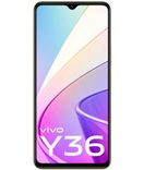 Y36