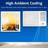 4011465 2 Ton 2 star Instant Cooling Fixed Speed Window AC