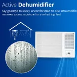 4011465 2 Ton 2 star Instant Cooling Fixed Speed Window AC