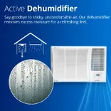4011478 1.5 Ton 5 star Inverter Window AC