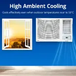 4011499 1.5 Ton 3 Star Fixed Speed Window AC