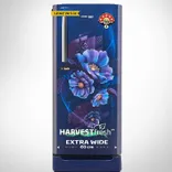 RDC220A 185 L 5 Star Direct Cool Single Door Refrigerator