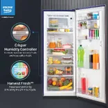 RDC220B 185 L 5 Star Direct Cool Single Door Refrigerator