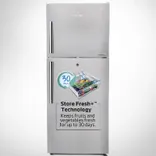RFF493IF 470L 2 Star Frost Free Refrigerator