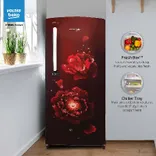 RDC220B / W0FWE0M000UGD 185 L 4 Star Single Door Refrigerator