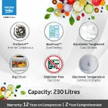 RFF270C/WPXBR0I0000GD 230 L 3 Star Double Door Frost Free Refrigerator