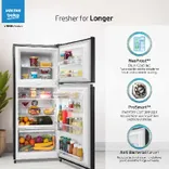 RFF270C/WPXBR0I0000GD 230 L 3 Star Double Door Frost Free Refrigerator