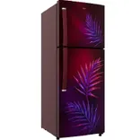 21676 Intellifresh 259L 2 Star Frost Free Double-Door Refrigerator