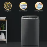 31666 Stainwash Royal Plus 6.5kg 5 Star Fully Automatic Top Load Washing Machine