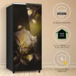 73273 Icemagic Pro 192L 5 Star Glass Finish Single Door Refrigerator